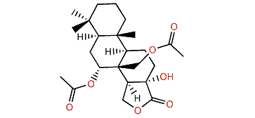 Aplyroseol 16